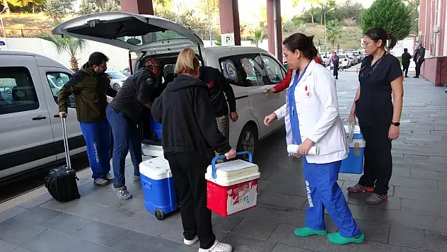 Manavgat'tan Konya'ya hayat köprüsü: Organ bağışı 3 hastaya umut oldu