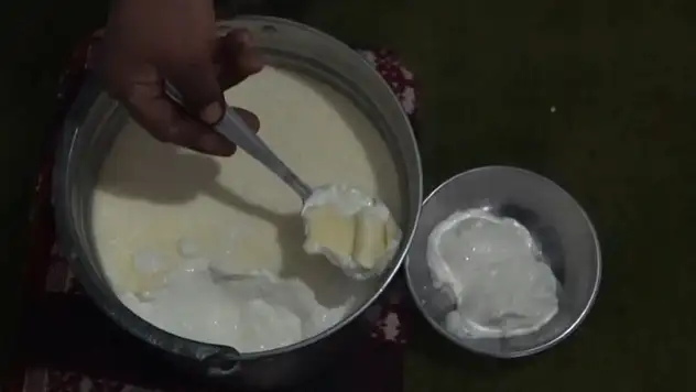 Maya yerine bu suyu koyuyorlar: Yoğurt beton gibi oluyor ve faydası artıyor