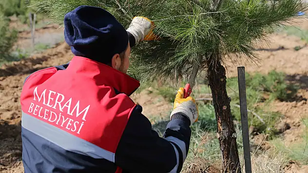 Meram'da parklar yaz mevsimine hazırlanıyor