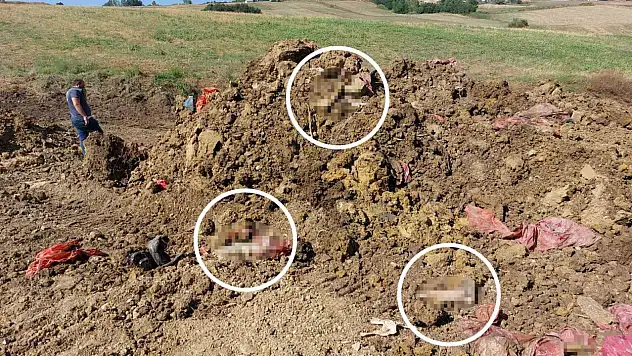 Mezarlık yanındaki drenaj çalışmasında insan ayakları bulundu!