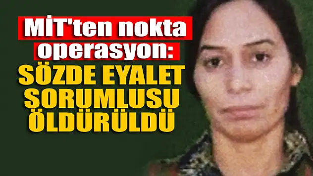 MİT'ten nokta operasyon: Sözde eyalet sorumlusu öldürüldü