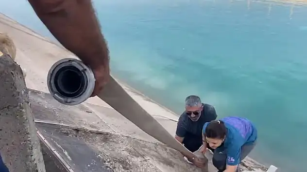 Navigasyon yanılttı, merhamet kurtardı! Anne yüreği 'İnsanlık ölmemiş' dedirtti