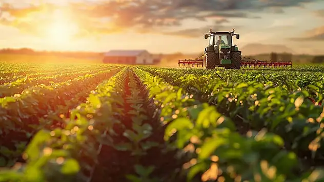 Niğde ve Nevşehir'den bayrağı devraldık! Konya tarımında o ürünün verimi yüz güldürdü!
