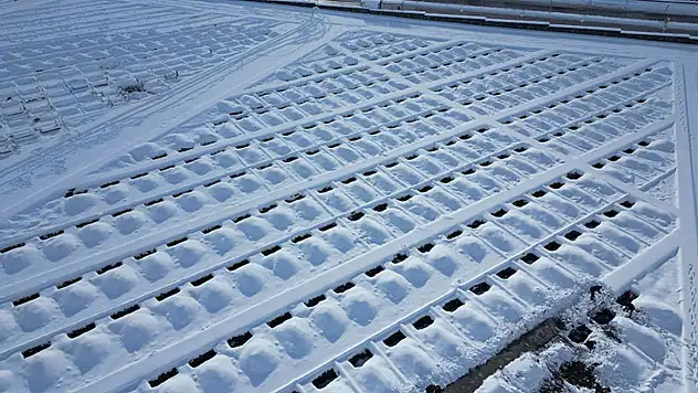 O ilde 600 toplu mezar açıldı! Peki toplu mezarların nedeni ne?