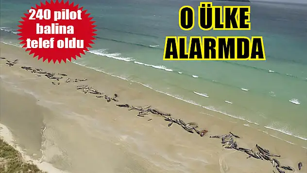 O ülke alarmda