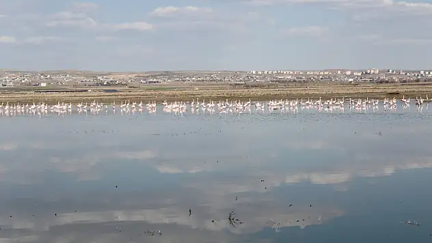 Ölme derecesine geldi! Konya'nın beyaz cenneti için kritik uyarı