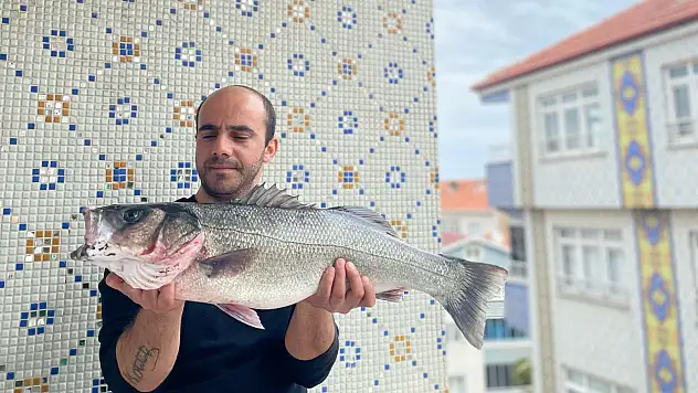 Oltayla 7,5 kiloluk dev levrek yakalandı