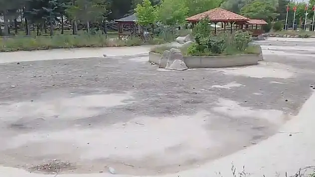 Önce evladını kaybetti, şimdi de Konya'dan gelen o kararla sarsıldı