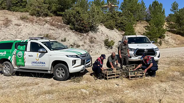 Operasyonla ele geçirilen saka kuşları doğaya salındı