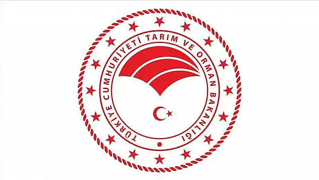 Orman Genel Müdürlüğü 249 sözleşmeli orman mühendisi alacak