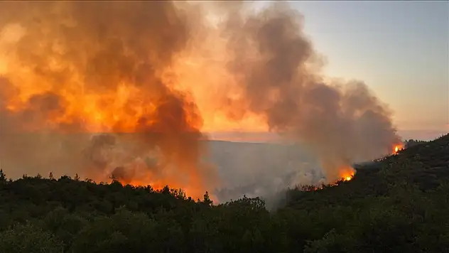 Orman Genel Müdürlüğünden kritik uyarı!