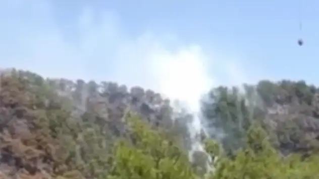 Orman yangını 3 saatlik çalışma sonrası kontrol altına alındı!