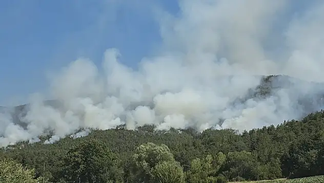 Orman yangınlarına müdahale sürüyor