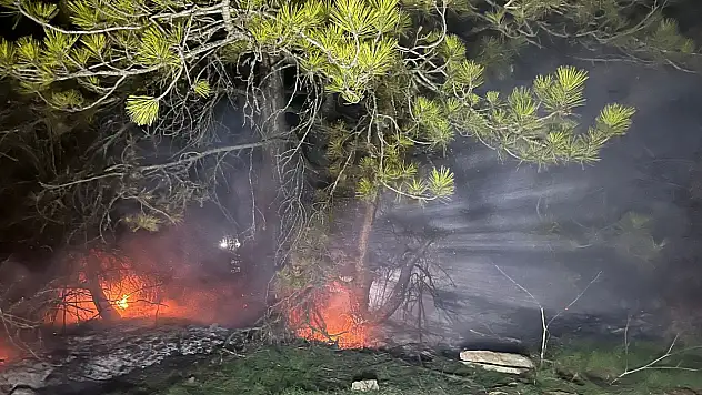 Ormanlık alanda çıkan yangın sonrası ekipler alarma geçti!
