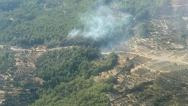 Ormanlık alanda yangın çıktı müdahale sürüyor