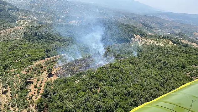 Ormanlık alanda yangın çıktı