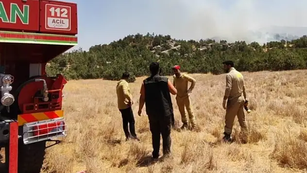 Ormanlık alanda yangın: Çok sayıda ekip sevk edildi!