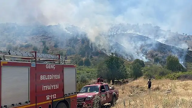 Ormanlık alanda yangın: Çok sayıda ekip sevk edildi!