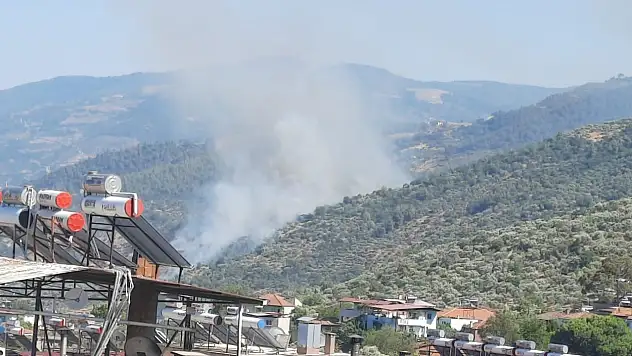 Ormanlık alanda yangın: Çok sayıda ekip sevk edildi!