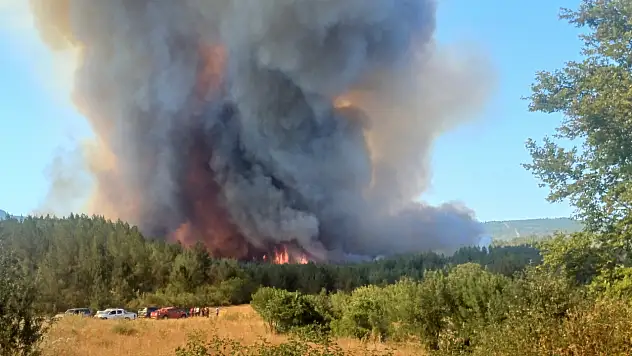 Ormanlık alanda yangın paniği!