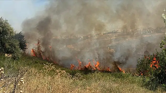 Otluk ve ekili alanda yangın çıktı