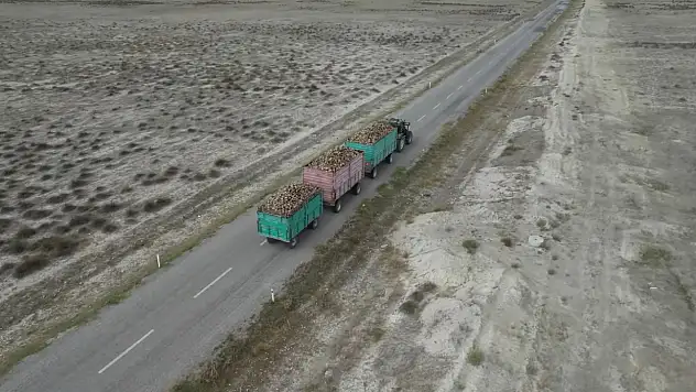Pancar sezonundaki çiftçilere müjde! Belediye başkanı duyurdu...