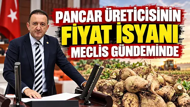 Pancar üreticisinin fiyat beklentisini Meclis'e taşıyan Bektaş, 'Çiftçimizin emeği korunmalıydı' dedi.