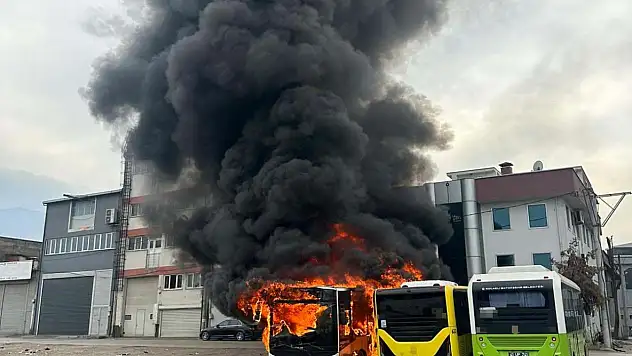 Park halindeki 3 otobüs alevlere teslim oldu