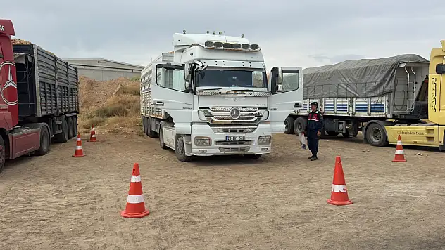Park halindeki TIR'da acı son: Yatak kısmında ölü bulundu