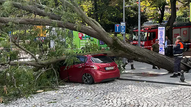 Parkta korkutan anlar! Ağaç otomobilin üzerine devrildi