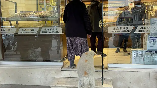 Pide kuyruğunda Çorap sürprizi: Önce şaşırttı, sonra gülümsetti