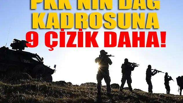 PKK'nın dağ kadrosuna 9 çizik daha!