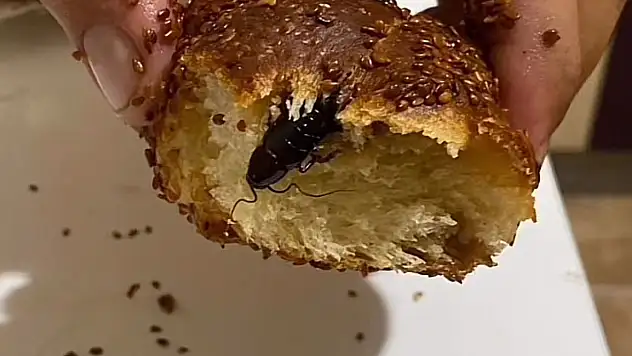 Poğaçada şoke eden görüntü: Sosyal medya ayağa kalktı!