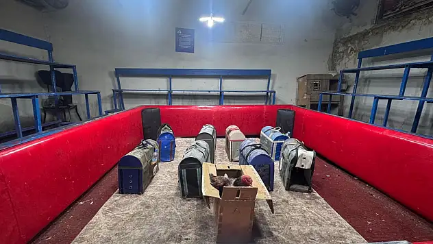 Polis suçüstü bastı, işletmecinin savunması pes dedirtti