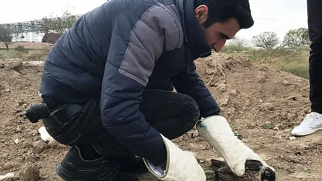 Polisler arazide ayakları bağlı buldu
