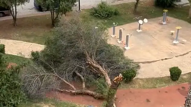 Rüzgar hayatı felç etti!