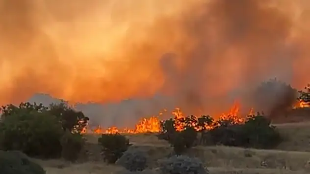 Sabah saatlerinde ormanlık alanda yanın çıktı!