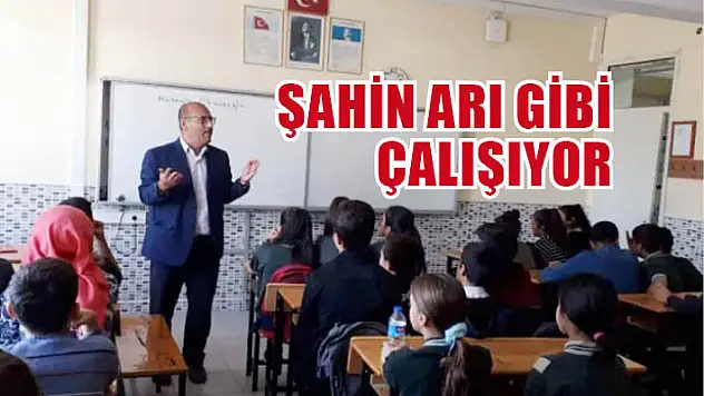Şahin arı gibi çalışıyor