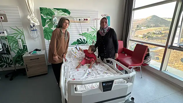 Sahipli köpek dehşeti: 2 yaşındaki çocuk başından yaralandı