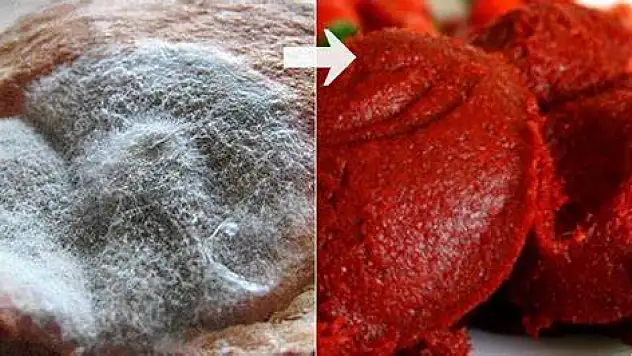 Salça Küflenmesi Nasıl Önlenir?