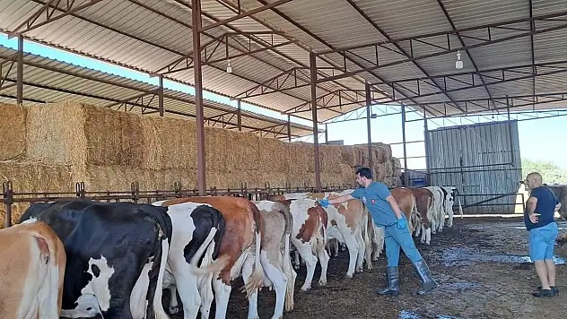 Salgın sonrası alarm verildi: 12 mahalle karantinaya alındı!