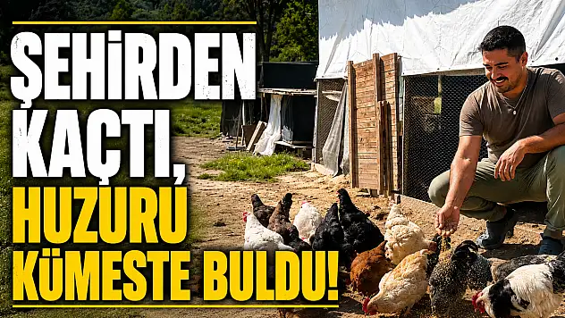 Şehirden kaçtı, huzuru kümeste buldu!