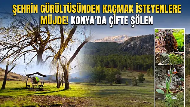 Şehrin gürültüsünden kaçmak isteyenlere müjde! Konya'da çifte şölen