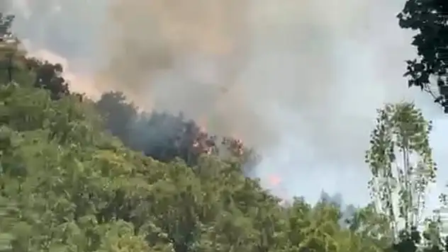 Şemdinli'de orman yangını!