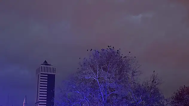 Şemsiyenizi hazırlayın! Konya'da yağışlı günler başlıyor