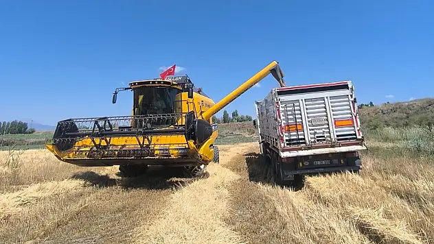 Seydişehir'de arpa hasadı başladı