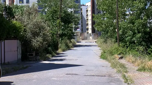 Silah sesini duydu dışarı çıktı, kurşunların hedefi olan kadın kurtarılamadı