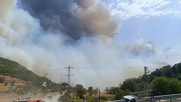 Orman yangınında yerleşim yerleri tahliye ediliyor