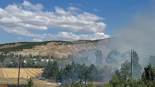 Sivas' ta çıkan yangında son durum
