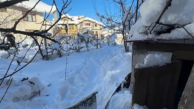 Soğuk hava ölüme neden oldu! Yaşlı kadın donarak can verdi